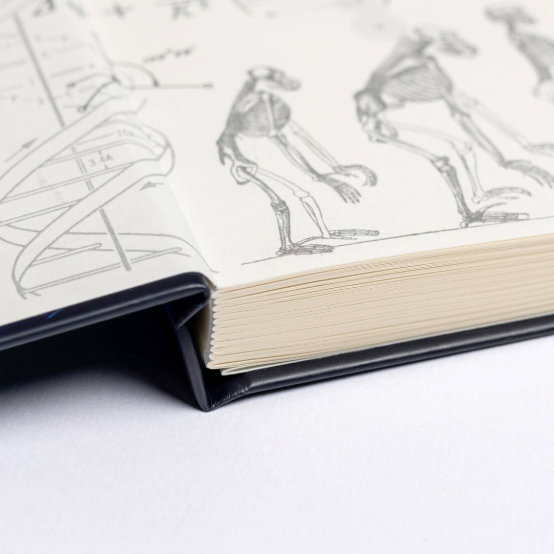 The Curious Mind Yearly Planner - Undated (Red)