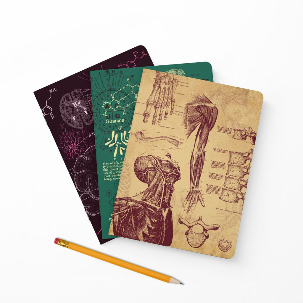 Principles of the Universe - Anatomy, Neuroscience, Evolution