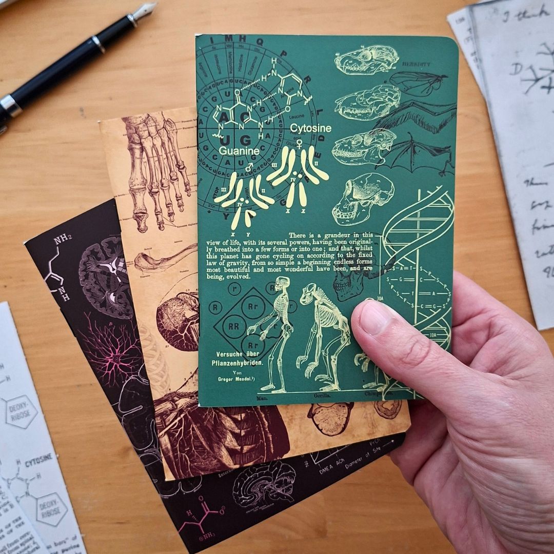 Principles of the Universe - Anatomy, Neuroscience, Evolution