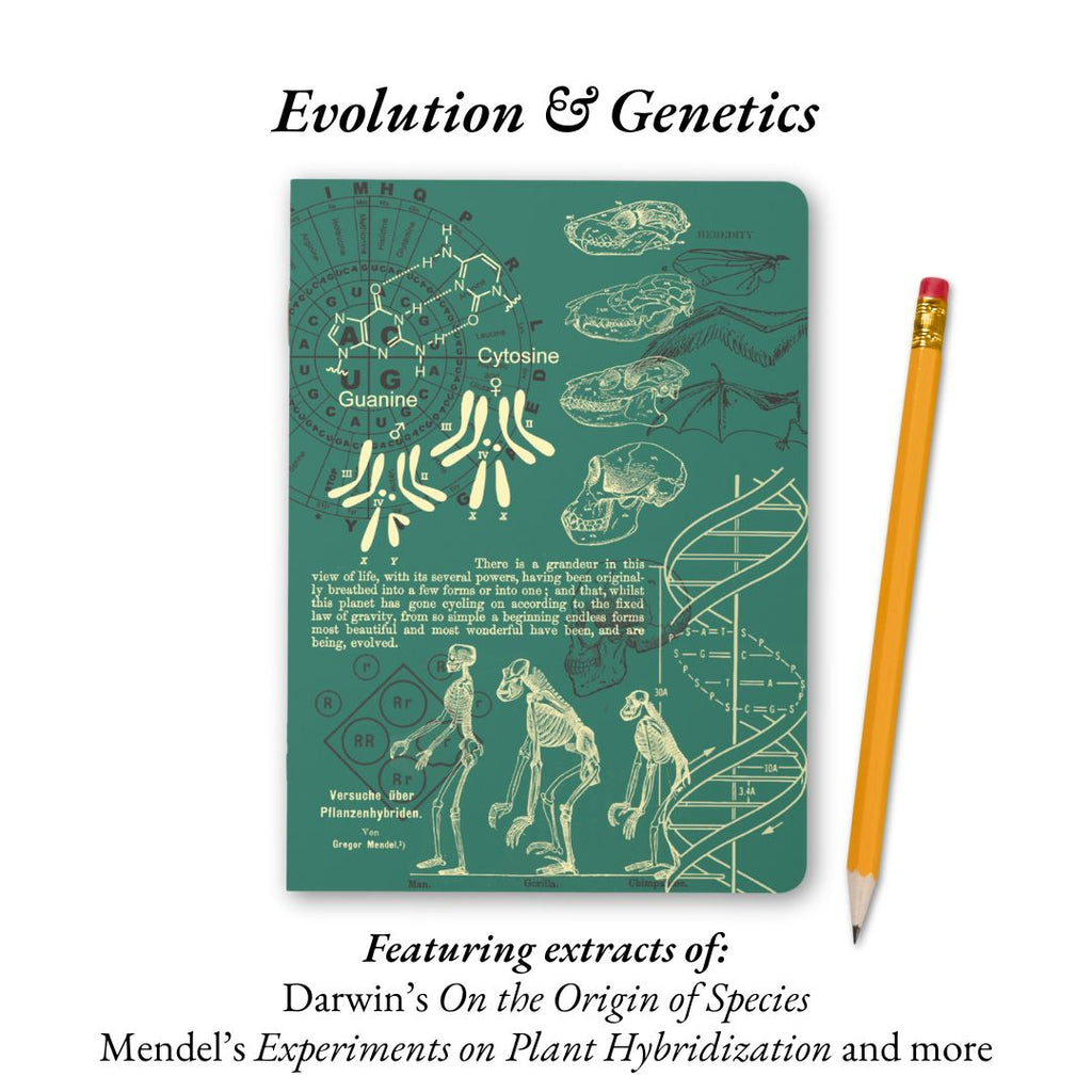 Principles of the Universe - Anatomy, Neuroscience, Evolution