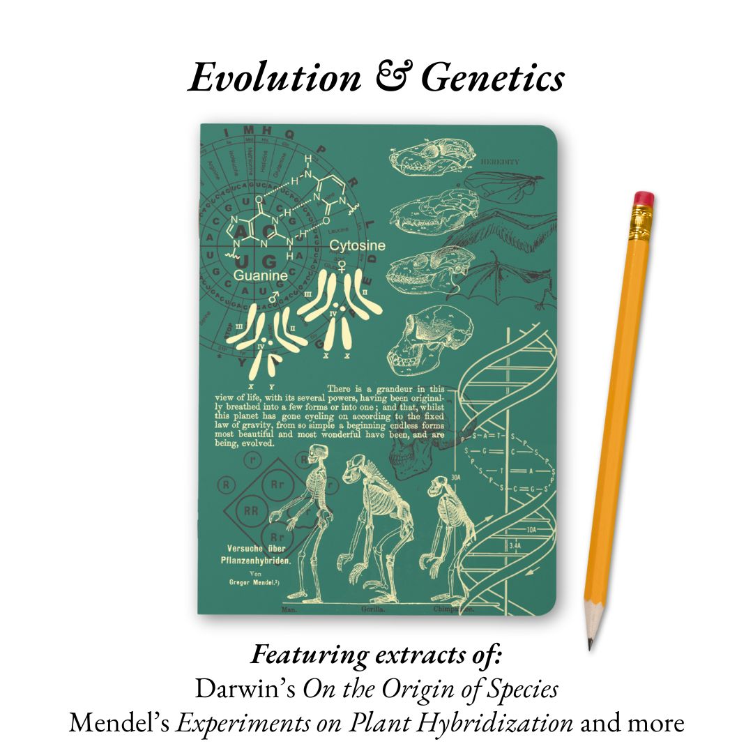 Principles of the Universe - Anatomy, Neuroscience, Evolution