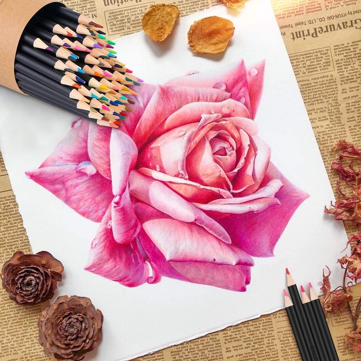 Artists Colored Pencil Set