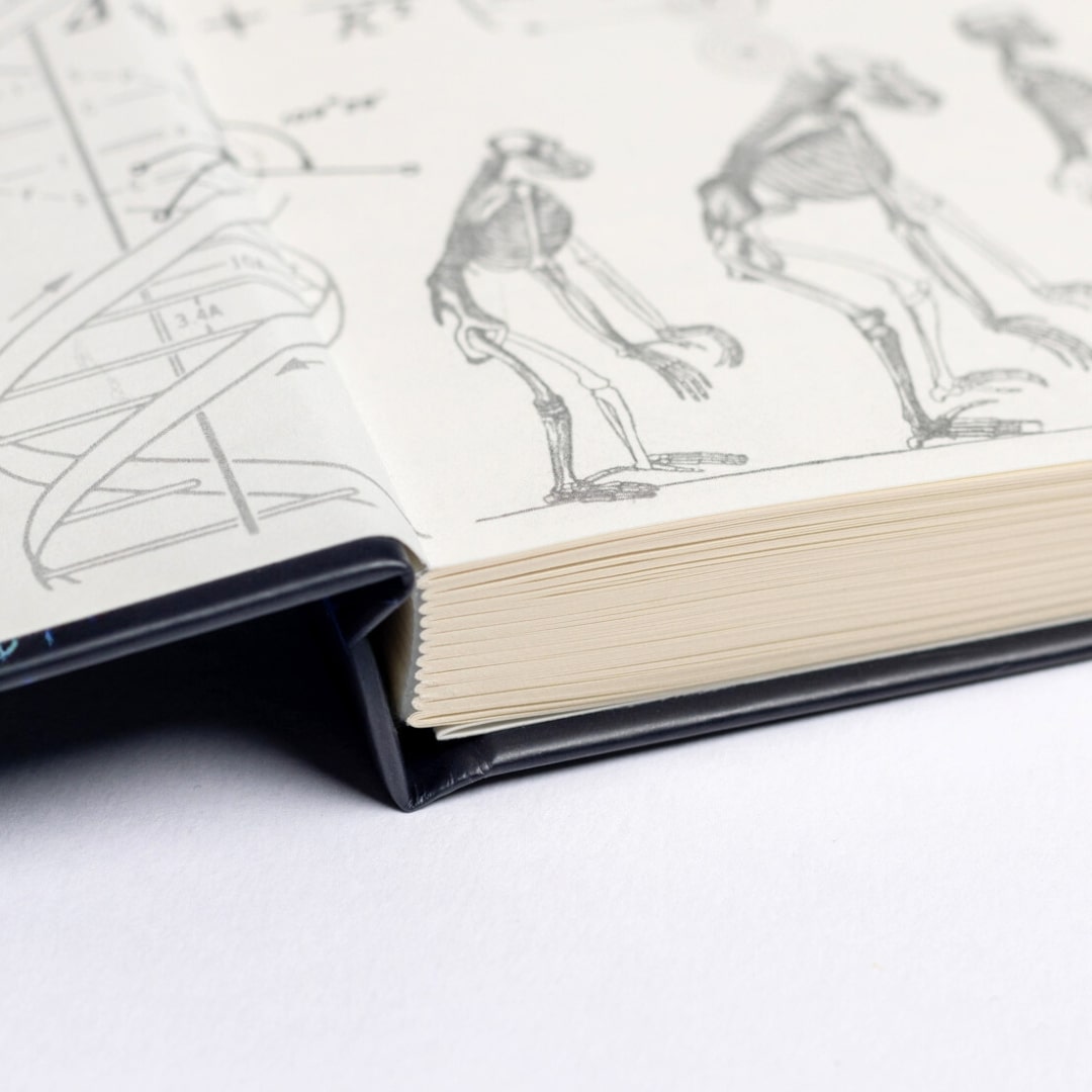 The Astronomer - A5 Hardcover