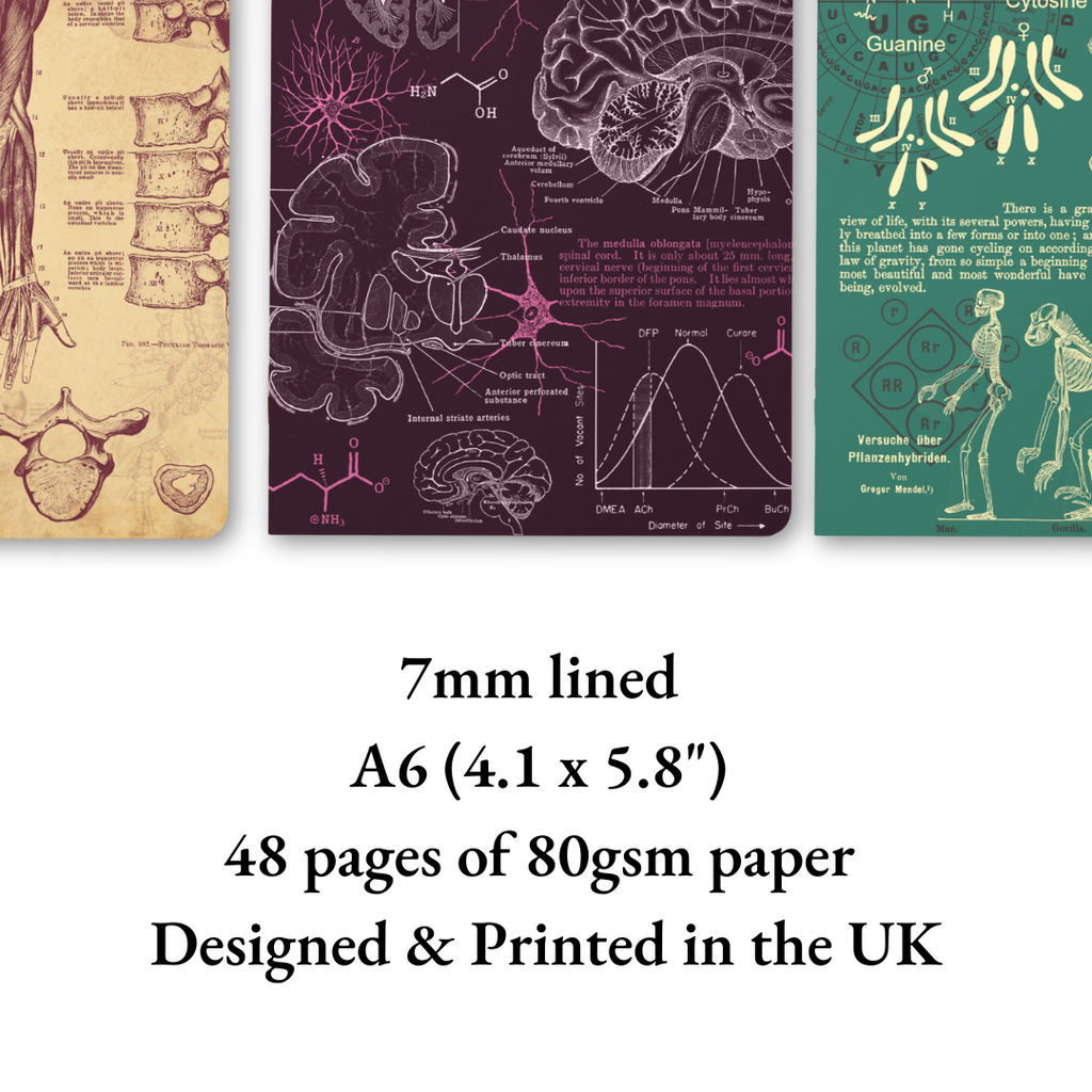 Principles of the Universe - Anatomy, Neuroscience, Evolution