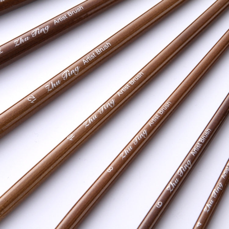 Fan Paintbrushes 9pc set